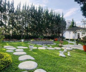 #11 Biệt thự (villa) Đà Lạt giá rẻ, view đẹp cho thuê nguyên căn nghỉ dưỡng