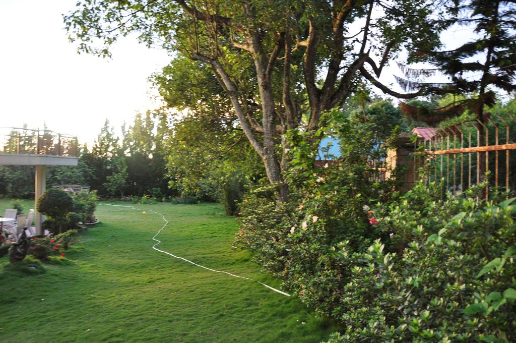 10 biệt thự (villa) Đà Lạt có view đẹp nhất, sân vườn rộng, cho ...