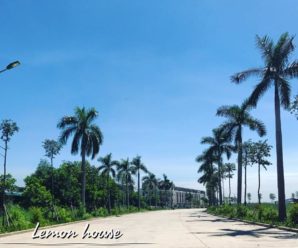 Lemon House, Hạ Long, Quảng Ninh (VLQN010)