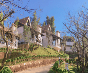 Biệt thự (villa) vườn mận cho thuê tại Sapa Jade Hill resort 5 sao