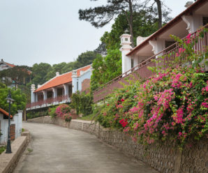 Biệt thự La Paz Resort Tuần Châu cho thuê 2- 3- 4 phòng ngủ view đẹp, giá rẻ