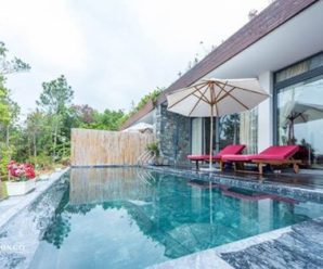 VILLA 2 PHÒNG NGỦ C10 FLAMINGO ĐẠI LẢI (VLVPFMG002)