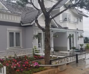 LUPUS VILLA, PHƯỜNG 11, ĐÀ LẠT, 7 PHÒNG NGỦ (VLDL017)