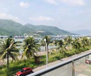 #123 Villa biệt thự Phú Quốc gần biển, có hồ bơi riêng, view đẹp được checkin nhiều nhất