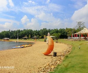 ĐẾN FLAMINGO ĐẠI LẢI RESORT CHƠI GÌ?