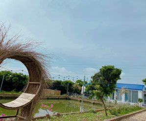 Ruby house 1 Sóc Sơn Hà Nội – Villa 3 phòng ngủ có bể bơi riêng, ao câu cá, BBq+