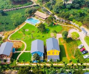 Dadeli Ba Vì – Khu villa 6000m2 10 phòng ngủ, bể bơi vô cực, rộng đẹp tổ chức teambuilding